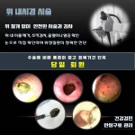 24시팔용feel동물병원