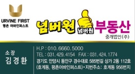 넘버원부동산중개법인