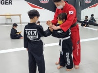 타이거합기도킥복싱