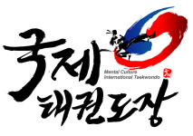 한국체대 국제태권도