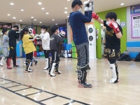 무에타이 킥복싱 울프짐