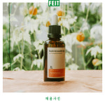 페이트스튜디오