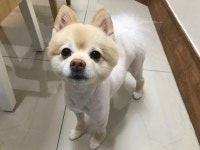 해담은동물병원