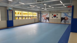 용인대한울태권도