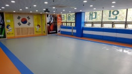 용인대한울태권도