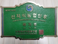 영운농장 곤드레