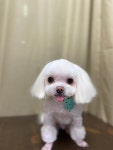 내새꾸뷰티샵