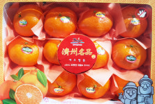 영농조합법인 도올미롱