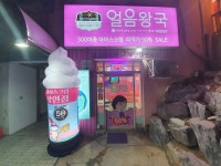 얼음왕국 아이스크림할인점 수원율전177호점