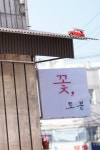 꽃집,로이