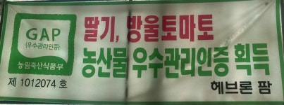 헤브론팜