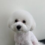 그루밍나인