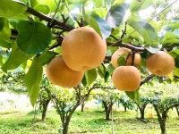 사슴이랑배랑농원 체험농장