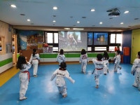 용인대석사태권도
