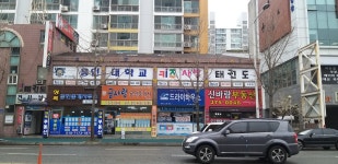 키즈사랑태권도
