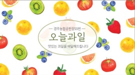 오늘과일