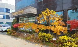 대전테크노요양병원