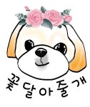 꽃달아줄개