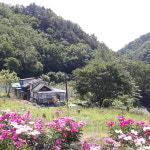 무무산방