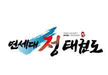 연세대정태권도