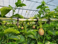 지평선초록농장