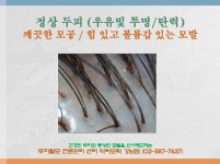 닥터모락 강남점