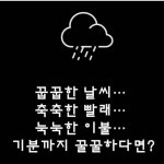 크린토피아코인워시365 진주초전점