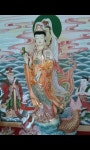 천해사