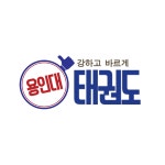 용인대태권도장