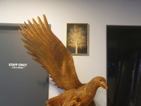 워시프레쉬 셀프빨래방 강원도인제점