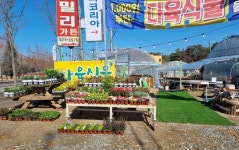 다육사랑