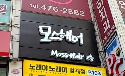 모스헤어