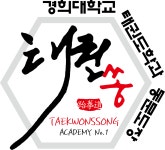 경희대 태권쏭 태권도장