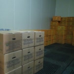 영운농장 곤드레