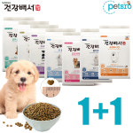 다온다네트웍스