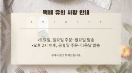 찬이네낙지
