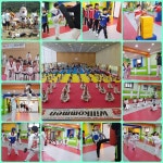 용인대타이곤태권도장