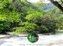 용소계곡펜션