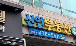 신안공인중개사사무소