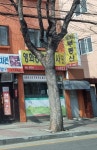 영화공인중개사사무소