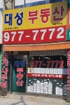 대성plus공인중개사사무소