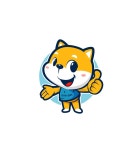 대구고양이분양 원펫