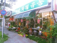 희망꽃화원