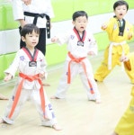 연세태권도장