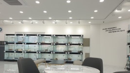 부산 강아지분양 도로시펫