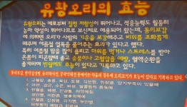 담소골참숯불유황오리