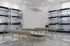 부산 강아지분양 도로시펫