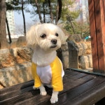 오올치유치원&미용