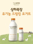 매일유업 남동구DS대리점