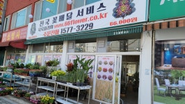 삼육오동탄꽃할인점 | 육육플라워